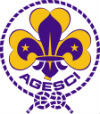 Scout AGESCI